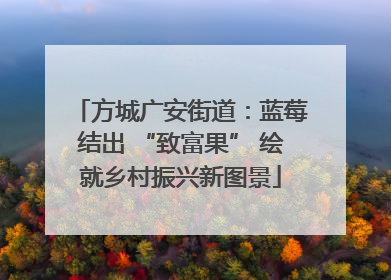 方城广安街道：蓝莓结出 “致富果” 绘就乡村振兴新图景