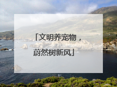 文明养宠物,蔚然树新风