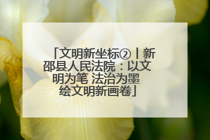 文明新坐标②丨新邵县人民法院：以文明为笔 法治为墨 绘文明新画卷