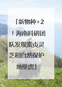 新物种+2！海南科研团队发现素贞灵芝和自然保护地壁虎