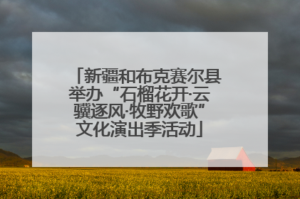 新疆和布克赛尔县举办“石榴花开·云骥逐风·牧野欢歌”文化演出季活动