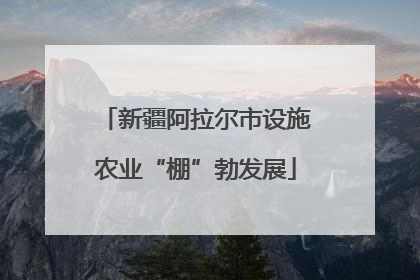 新疆阿拉尔市设施农业“棚”勃发展