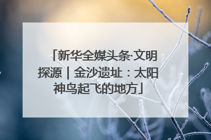 新华全媒头条·文明探源｜金沙遗址：太阳神鸟起飞的地方
