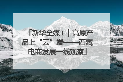 新华全媒+｜高原产品上“云”端——西藏电商发展一线观察