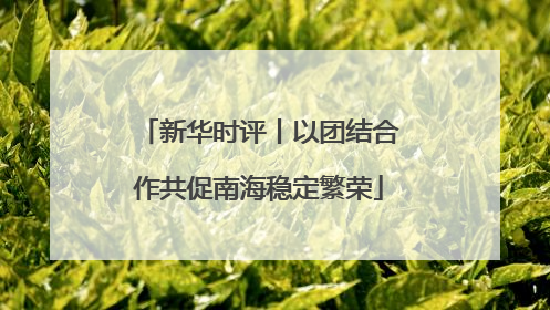 新华时评丨以团结合作共促南海稳定繁荣
