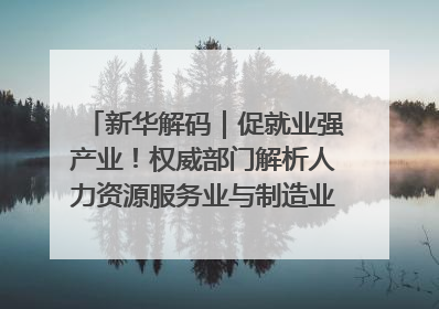 新华解码｜促就业强产业！权威部门解析人力资源服务业与制造业融合发展试点
