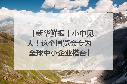 新华鲜报丨小中见大！这个博览会专为全球中小企业搭台