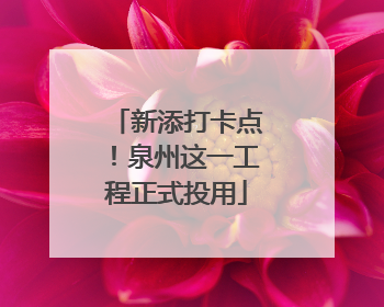 新添打卡点！泉州这一工程正式投用