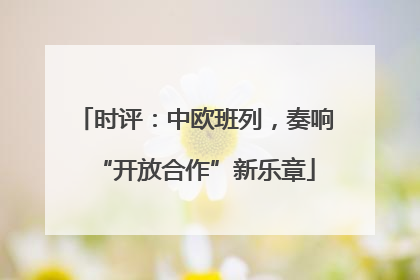 时评：中欧班列，奏响“开放合作”新乐章