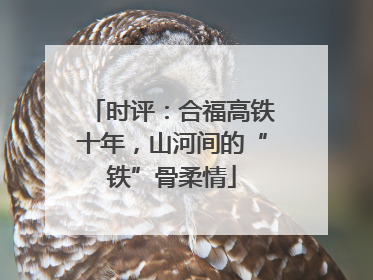 时评：合福高铁十年，山河间的“铁”骨柔情