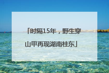 时隔15年，野生穿山甲再现湖南桂东