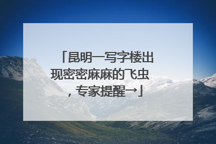 昆明一写字楼出现密密麻麻的飞虫，专家提醒→