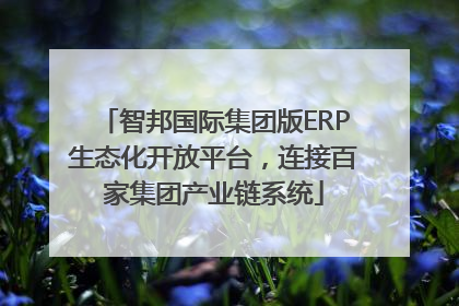 智邦国际集团版ERP生态化开放平台，连接百家集团产业链系统