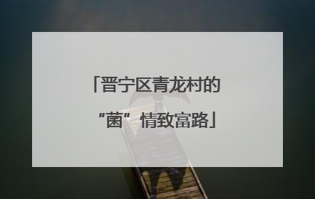晋宁区青龙村的“菌”情致富路