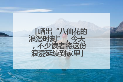 晒出“八仙花的浪漫时刻”，今天，不少读者将这份浪漫延续到家里