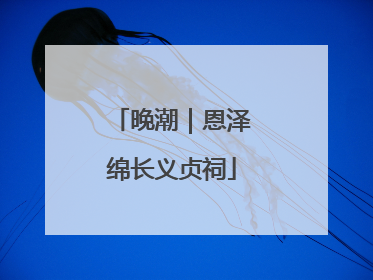 晚潮｜恩泽绵长义贞祠