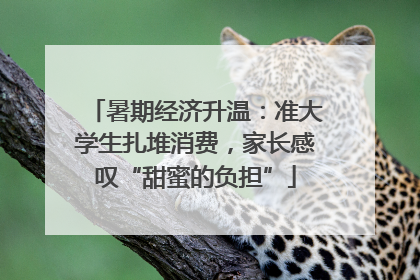 暑期经济升温：准大学生扎堆消费，家长感叹“甜蜜的负担”