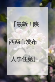 最新！陕西两市发布人事任免