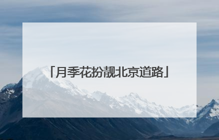 月季花扮靓北京道路