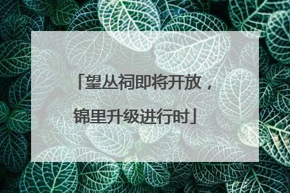 望丛祠即将开放，锦里升级进行时