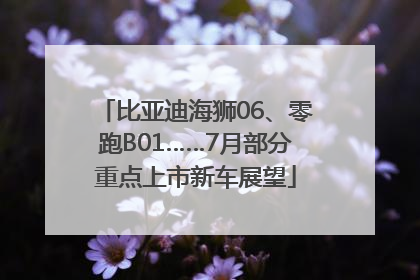 比亚迪海狮06、零跑B01……7月部分重点上市新车展望