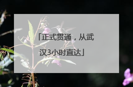 正式贯通，从武汉3小时直达
