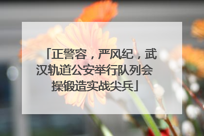 正警容，严风纪，武汉轨道公安举行队列会操锻造实战尖兵