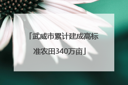 武威市累计建成高标准农田340万亩