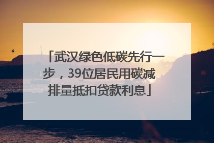 武汉绿色低碳先行一步，39位居民用碳减排量抵扣贷款利息