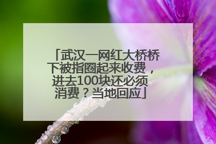 武汉一网红大桥桥下被指圈起来收费，进去100块还必须消费？当地回应