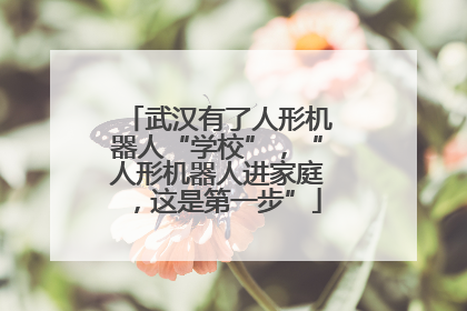武汉有了人形机器人“学校”，“人形机器人进家庭，这是第一步”