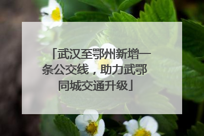 武汉至鄂州新增一条公交线，助力武鄂同城交通升级