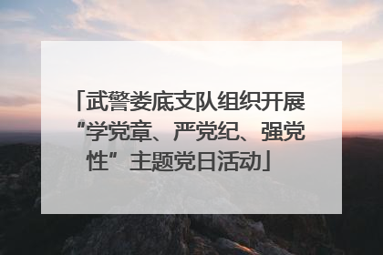 武警娄底支队组织开展“学党章、严党纪、强党性”主题党日活动