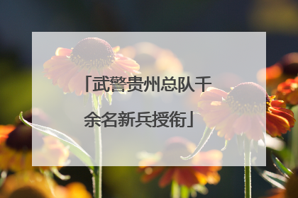 武警贵州总队千余名新兵授衔