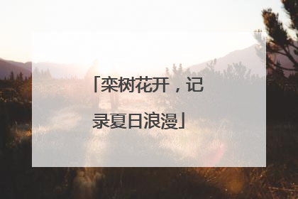 栾树花开，记录夏日浪漫