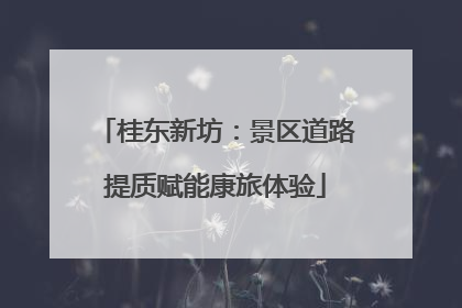 桂东新坊：景区道路提质赋能康旅体验
