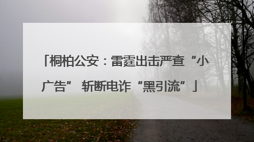 桐柏公安：雷霆出击严查“小广告” 斩断电诈“黑引流”
