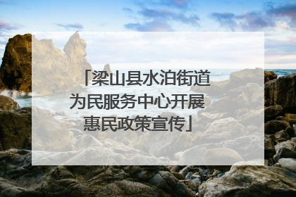梁山县水泊街道为民服务中心开展惠民政策宣传