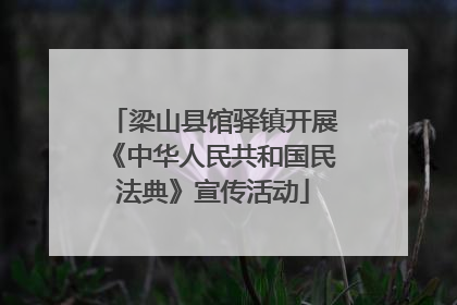 梁山县馆驿镇开展《中华人民共和国民法典》宣传活动