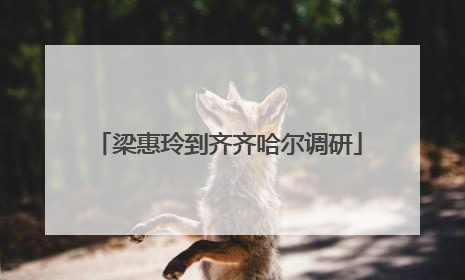 梁惠玲到齐齐哈尔调研