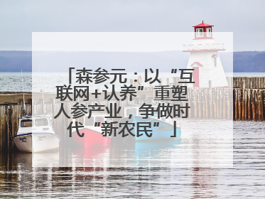 森参元：以“互联网+认养”重塑人参产业，争做时代“新农民”