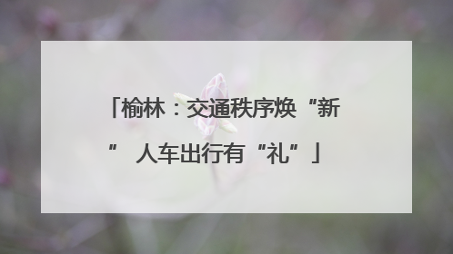 榆林：交通秩序焕“新” 人车出行有“礼”
