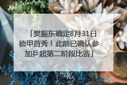 樊振东确定8月31日德甲首秀！此前已确认参加乒超第二阶段比赛