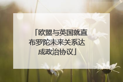 欧盟与英国就直布罗陀未来关系达成政治协议