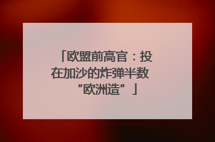 欧盟前高官：投在加沙的炸弹半数“欧洲造”