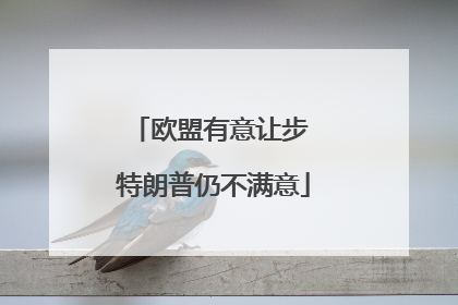 欧盟有意让步 特朗普仍不满意