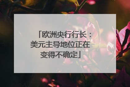 欧洲央行行长：美元主导地位正在变得不确定
