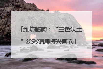 潍坊临朐：“三色沃土”绘彩铺展振兴画卷