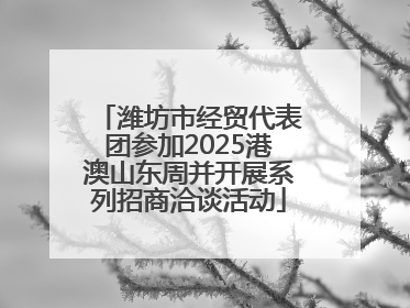 潍坊市经贸代表团参加2025港澳山东周并开展系列招商洽谈活动