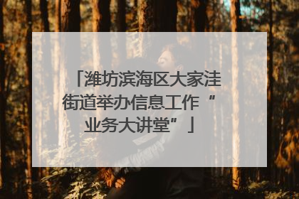潍坊滨海区大家洼街道举办信息工作“业务大讲堂”
